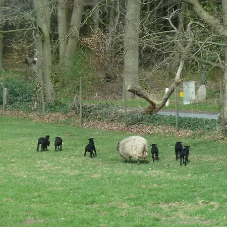 Am Walde Apartment *