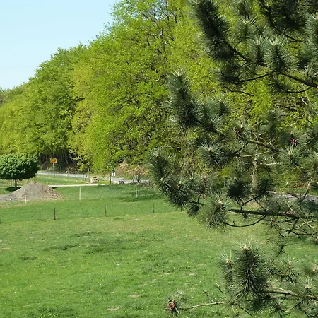 Am Walde