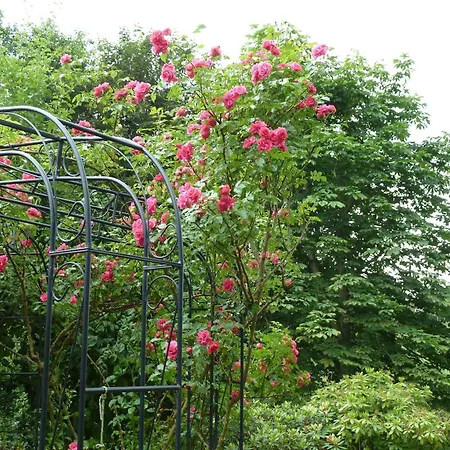 Apartment Am Walde Buxtehude