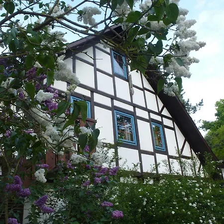 Apartment Am Walde