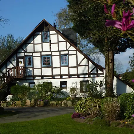 Apartment Am Walde *