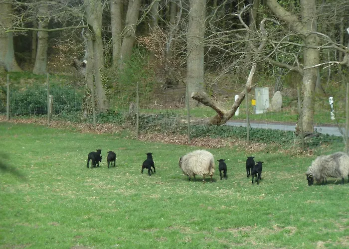 Am Walde Lägenhet *