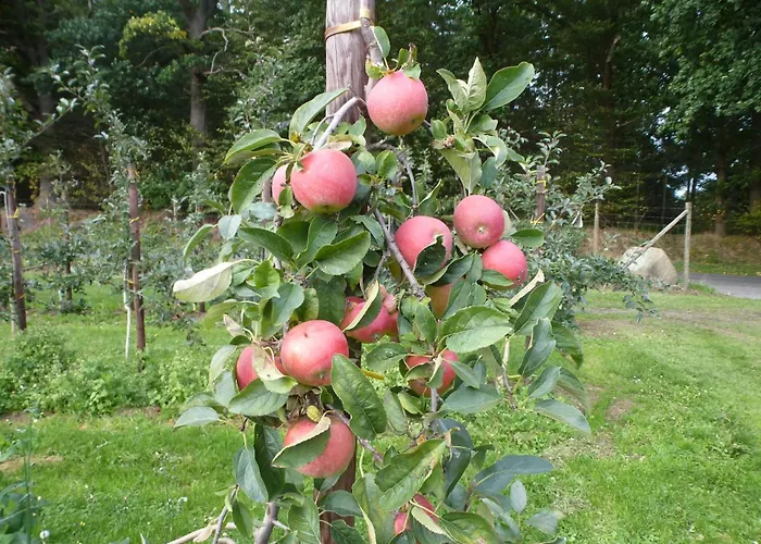 Lägenhet Am Walde *