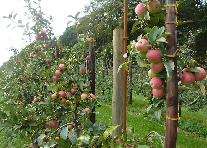 Am Walde Lägenhet *