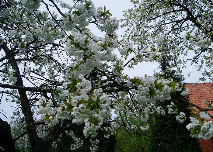 Lägenhet Am Walde Buxtehude